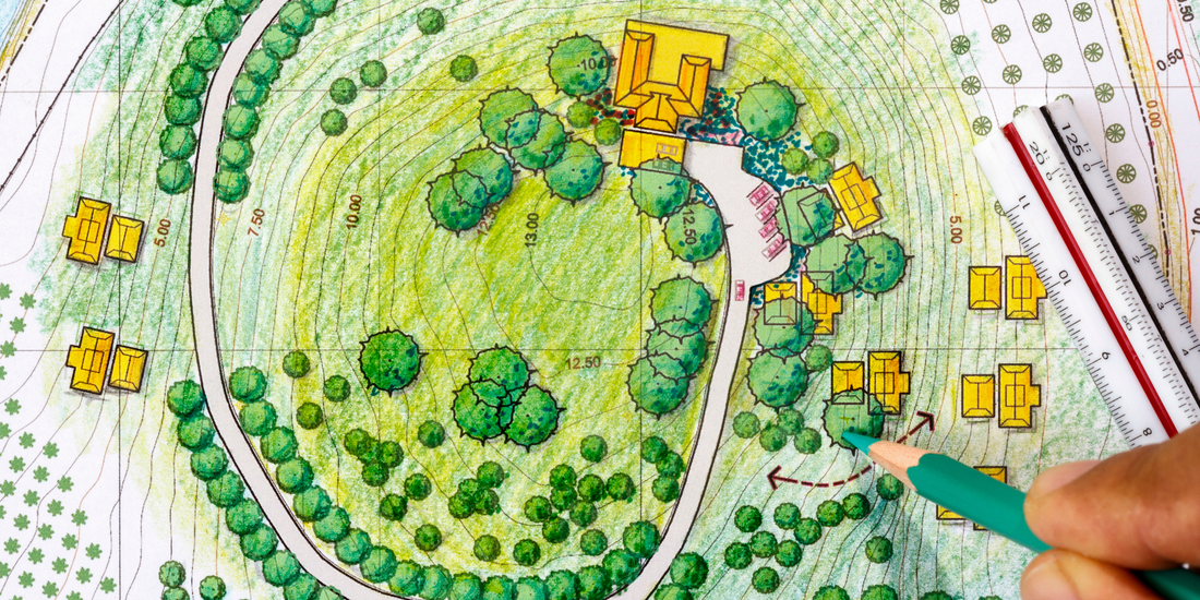 Création de jardin : penser la durabilité avant l’esthétique