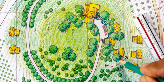 Création de jardin : penser la durabilité avant l’esthétique