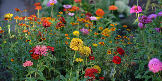 Préparer son jardin avant l’été : une anticipation indispensable