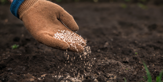 Adapter son jardin au climat et aux sols du Gers : une condition de réussite à long terme